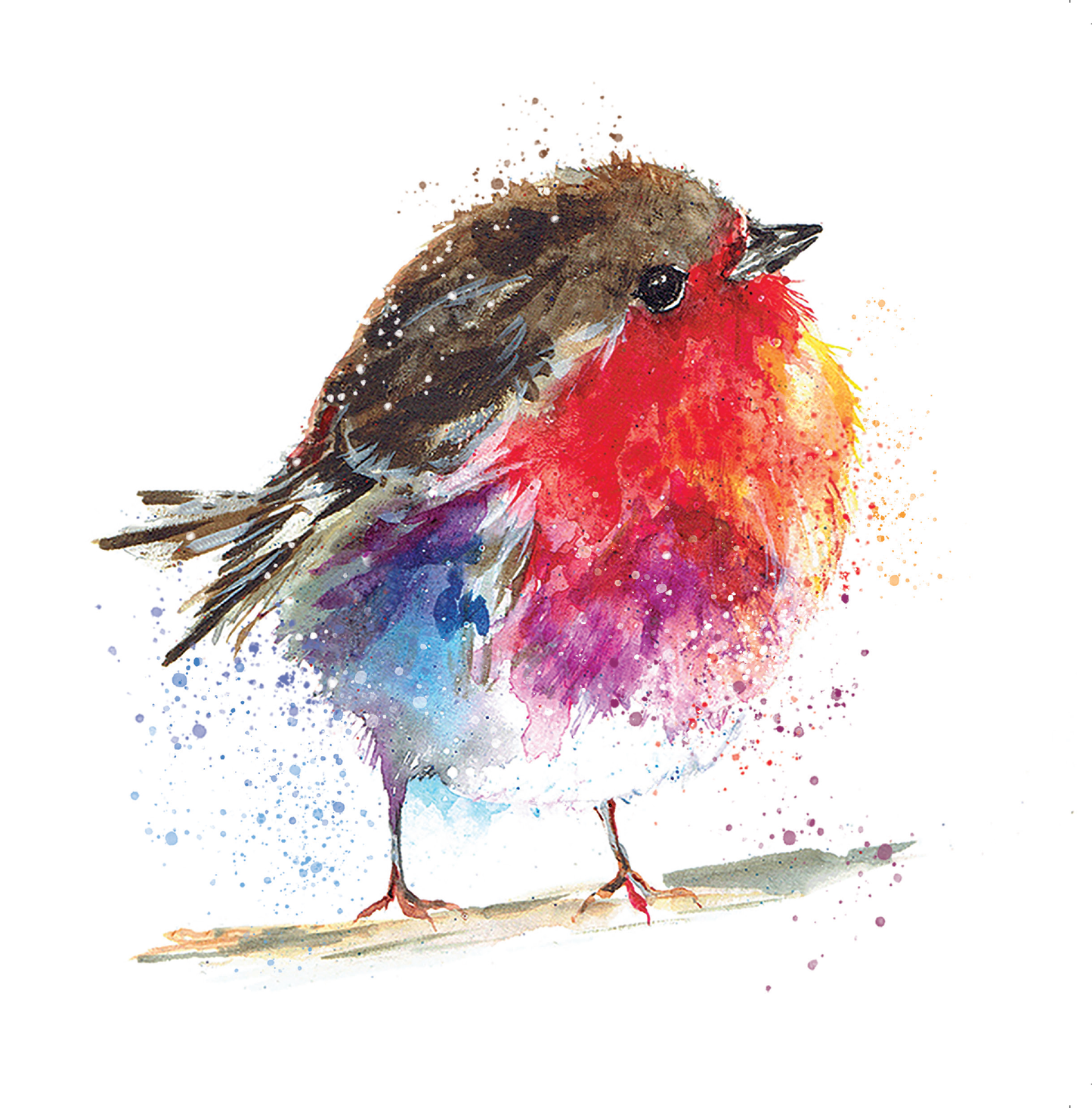 Compton Care - 10 x Charity Christmas Cards - 15 x 15cm - Fluffy Robin