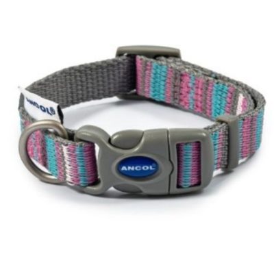 Medium Ancol dog collar