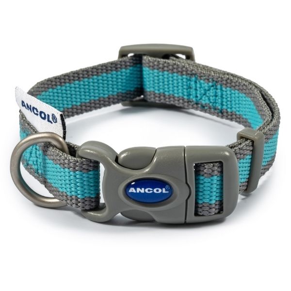 Small Ancol dog collar