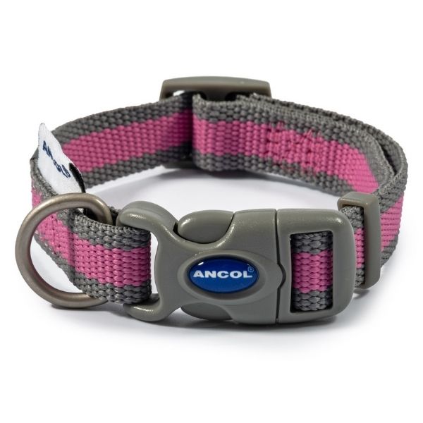 Medium Ancol dog collar