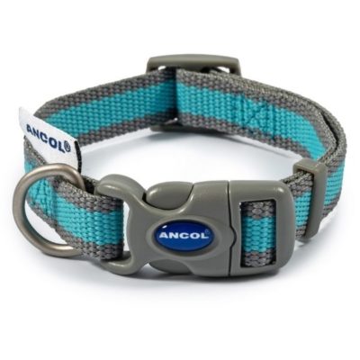 Medium Ancol dog collar