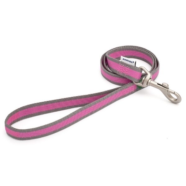 Striped Ancol Dog Lead