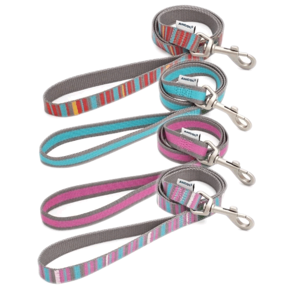 Striped Ancol Dog Lead