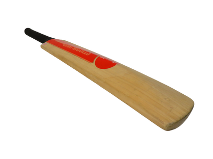Gray-Nicolls Mini Cricket Bat Ashes 1989 Signed Geoff Marsh Australia Team XXXX