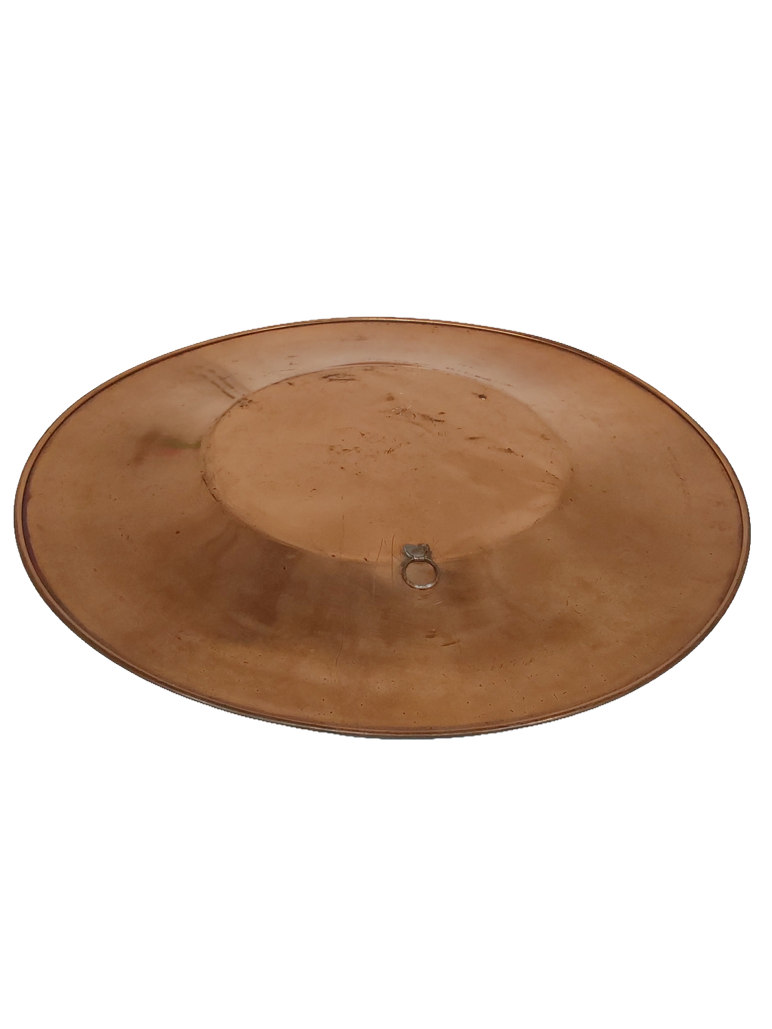 Plate lying at an angle, showing its shallow curved profile, a raised rim, and the metal hanging loop on the back.