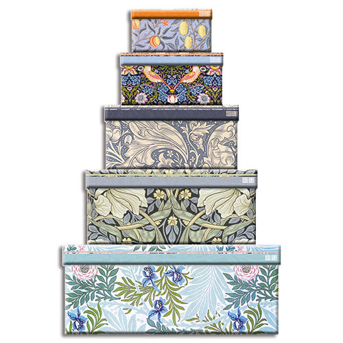 William Morris Larkspur Gift Box