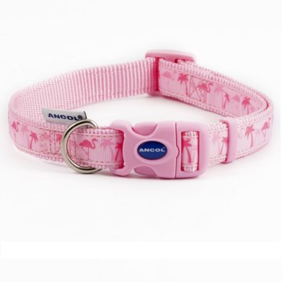 Fashionable Ancol Dog Collar (45-70cm)