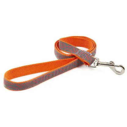 Fashionable 1mx19mm Ancol Dog Lead