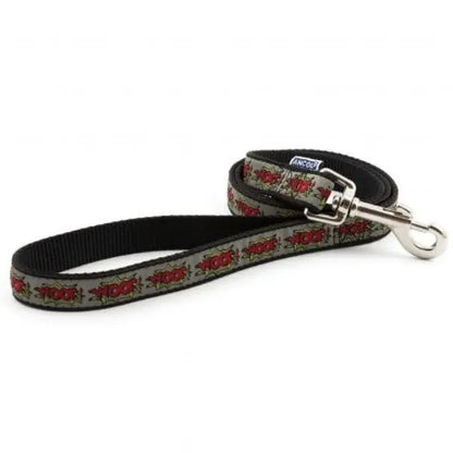 Fashionable 1mx19mm Ancol Dog Lead