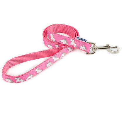 Fashionable 1mx19mm Ancol Dog Lead