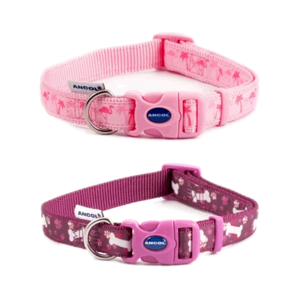 Fashionable Ancol Dog Collar (45-70cm)