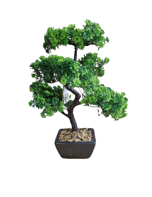 Bonsai Tree Decoration Boxwood - 37cm