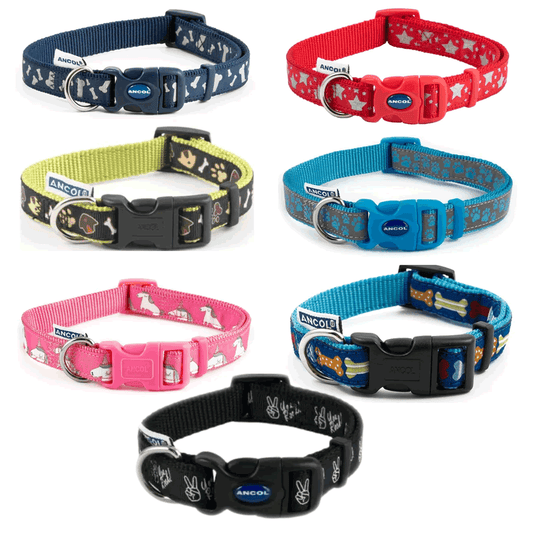 Size 1 to 2 Ancol Dog Collar