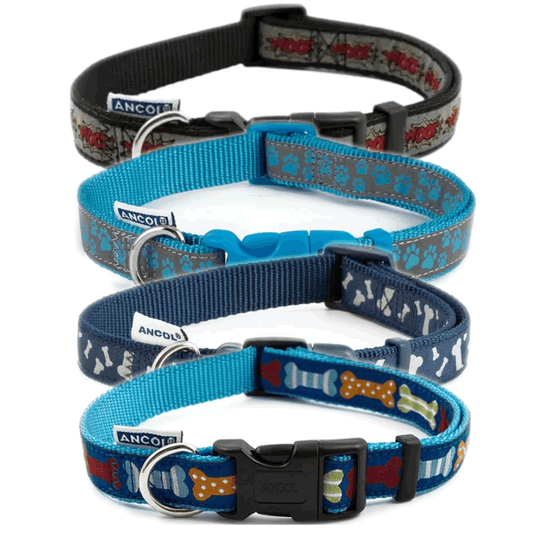 Size 2 to 5 Ancol Dog Collar