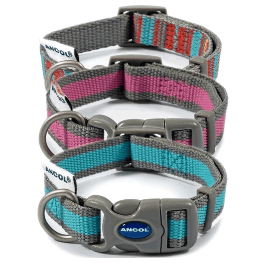 Small Ancol dog collar